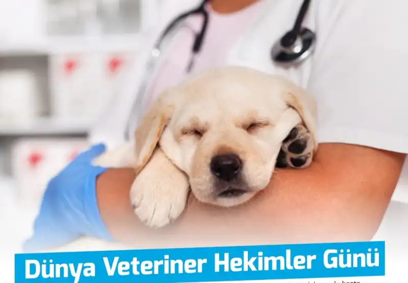 YAŞADIĞIMIZ HAK KAYIPLARINA, ÖTEKİLEŞTİRİLMEYE VE YOK SAYILMAYA RAĞMEN...