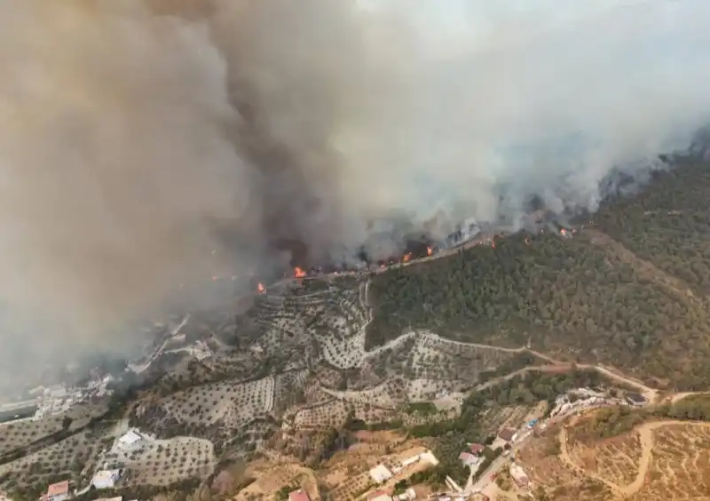 HATAY’DAKİ ORMAN YANGINI KISMİ OLARAK KONTROL ALTINA ALINDI! 