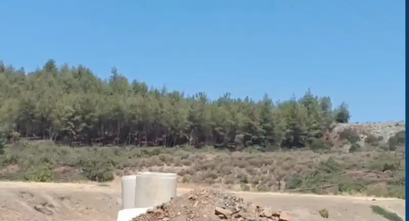 AĞAÇ KESİMİNİ DURDURUN!