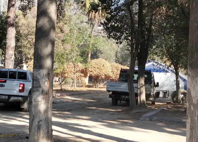 ANTAKYA'NIN YEŞİL HAFIZASI SİLİNİYOR!