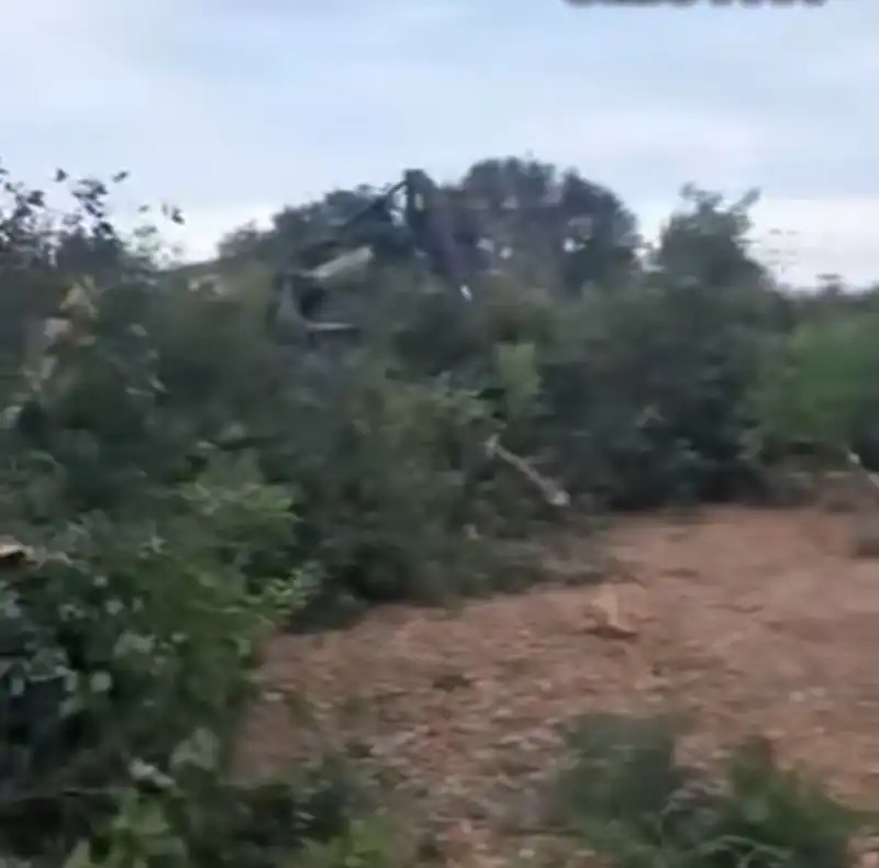 SAMANDAĞ'DA NARENCİYE BAHÇELERİNE HANÇER...