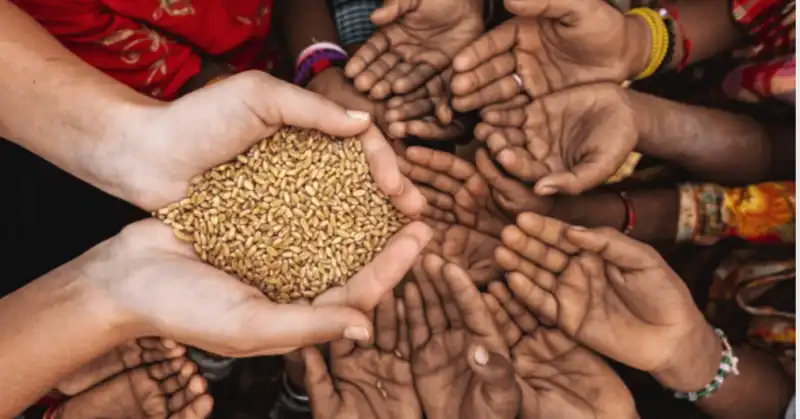 DÜNYA GENELİNDE YAKLAŞIK 673 MİLYON İNSAN AÇLIKLA...