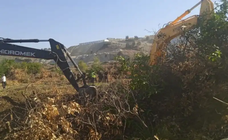 YÜREĞİMİZ YERİNDEN SÖKÜLÜYOR! 