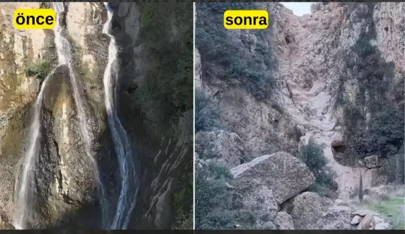 DEFNE’NİN NEFESİ TÜKENİYOR!