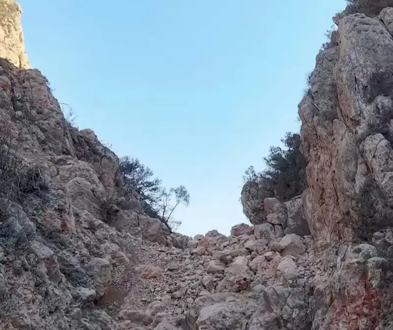 DEFNE’NİN NEFESİ TÜKENİYOR!