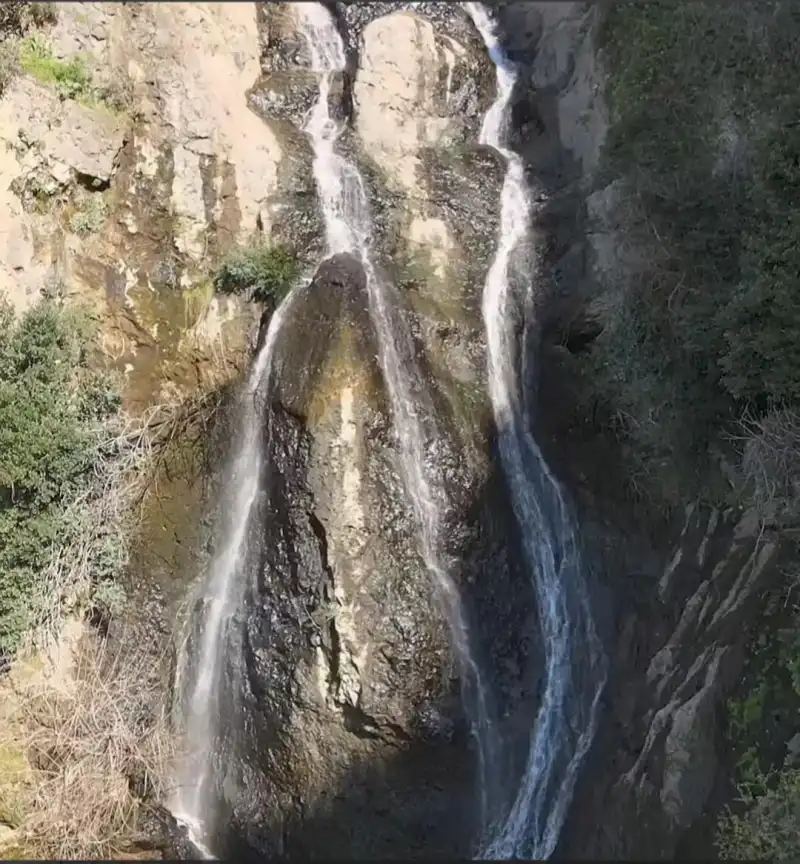 DEFNE’NİN NEFESİ TÜKENİYOR!