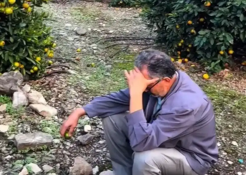 HATAY ÇİFTÇİSİ 2025 YILINI ZARARLA KAPATTI! 