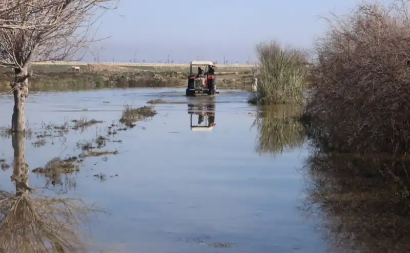 SEBEP ŞUBAT YAĞMURU DEĞİL, SEBEP...