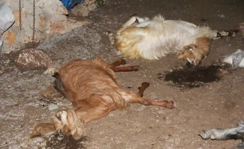 ZARARI KİM KARŞILAYACAK?