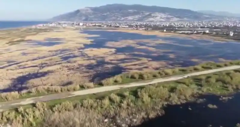 MİLLEYHA SULAK ALANINDA GÖZLEM YAPAN VALİ MASATLI...