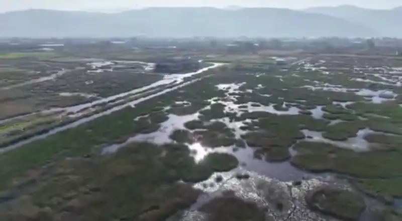 MİLLEYHA SULAK ALANINDA GÖZLEM YAPAN VALİ MASATLI...