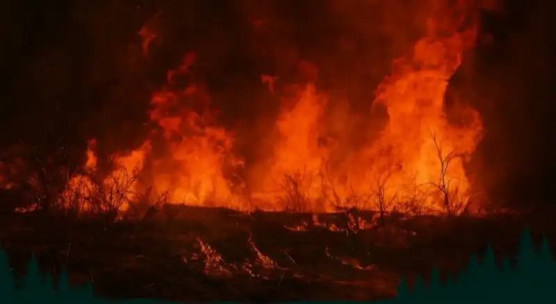 EYVAH! HATAY 1. DERECE RİSK...