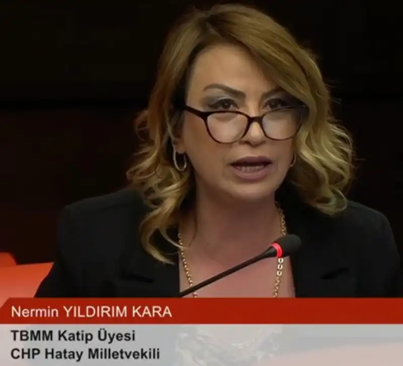 MİLLETVEKİLİ KARA CİLVEGÖZÜ'NDE NAKLİYECİLER...