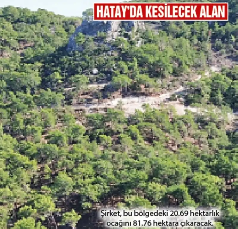 HATAY'DA DOĞA KATLİAMINA ONAY VERİLDİ!