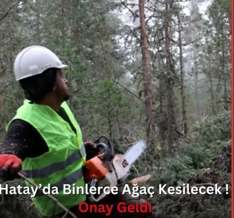 HATAY'DA DOĞA KATLİAMINA ONAY VERİLDİ!