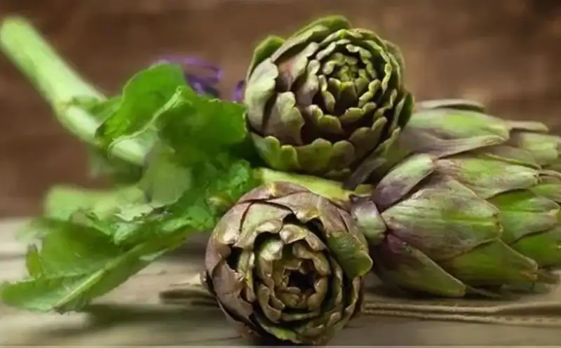 TÜKD HATAY ŞUBESİ VEFA BORCUNU ÖDEDİ!