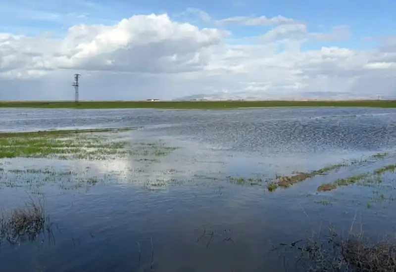 CHP'Lİ MULLAOĞLU TEHLİKEYE DİKKAT ÇEKTİ!