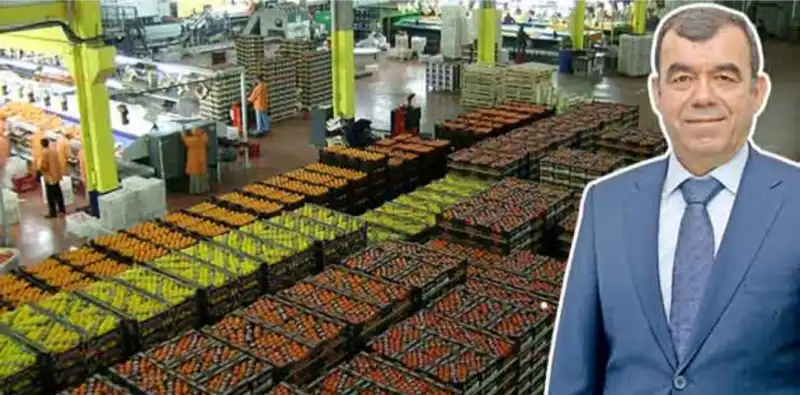 YAŞ MEYVE SEBZE İHRACATINI DOĞU AKDENİZ İLLERİ SIRTLADI!