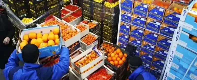 YAŞ MEYVE SEBZE İHRACATINI DOĞU AKDENİZ İLLERİ SIRTLADI!