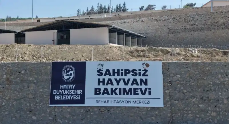 SAHİPSİZ HAYVANLARA YÖNELİK ÖNEMLİ PROJE!