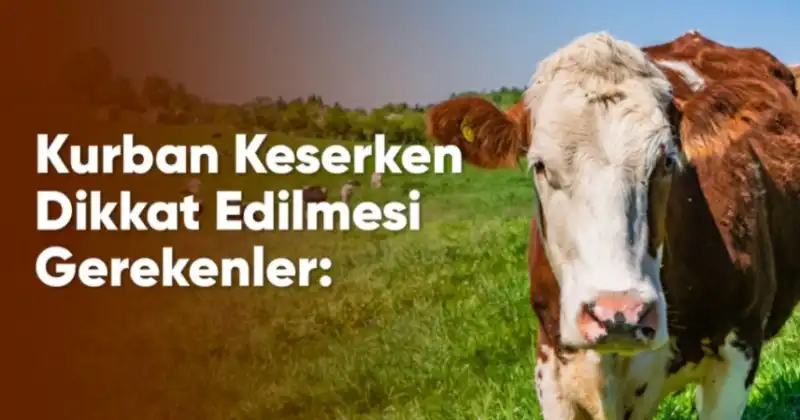 VATANDAŞLARIMIZIN BU HUSUSLARA DİKKAT ETMELERİ...