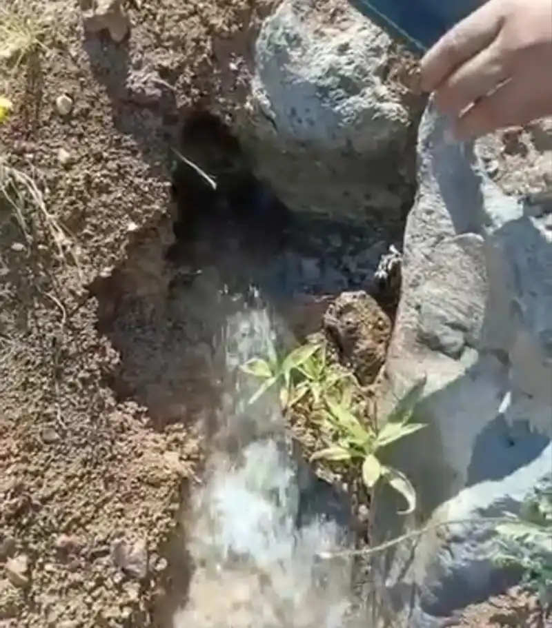 REYHANLI BARAJI VATANDAŞA CAN SUYU DEĞİL, MAĞDURİYET GETİRDİ! 