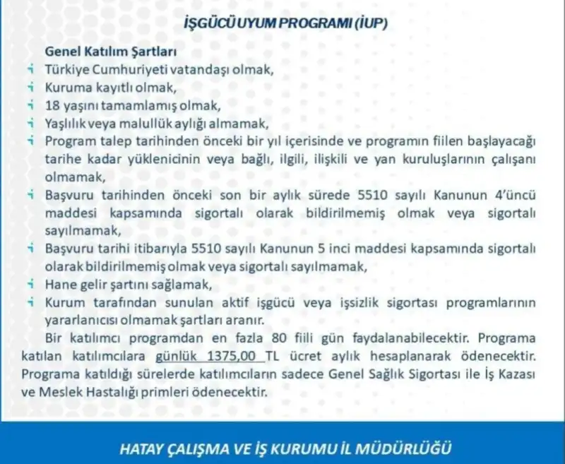 HATAY'DA İŞKUR'DAN 490 KİŞİLİK İSTİHDAM FIRSATI!