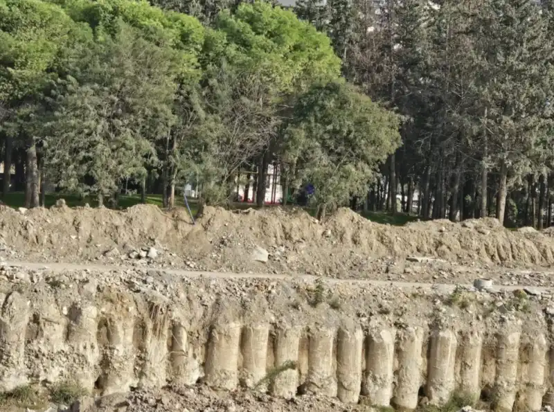 ATATÜRK PARKI AĞAÇLARIN GÖVDE VE KÖKLERİNDE ZARAR İDDİASI!