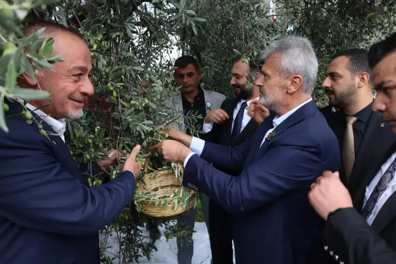 10. ALTINÖZÜ ZEYTİN, ZEYTİNYAĞI VE GASTRONOMİ FESTİVALİNDE UNUTULMAZ ANLAR YAŞANDI!