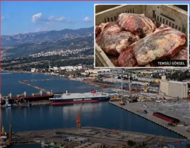 İSKENDERUN’A LİMAN ÜZERİNDEN TONLARCA BOZUK ET SOKULDUĞU ... 