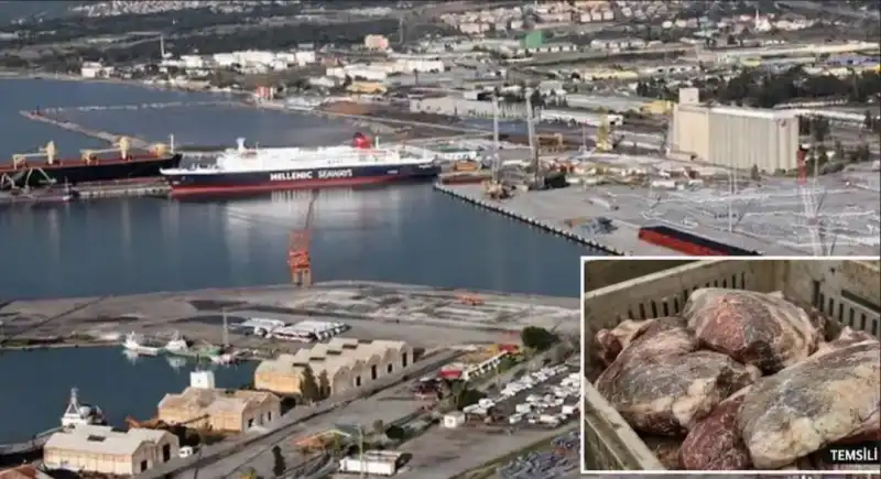 İSKENDERUN’A LİMAN ÜZERİNDEN TONLARCA BOZUK ET SOKULDUĞU ... 